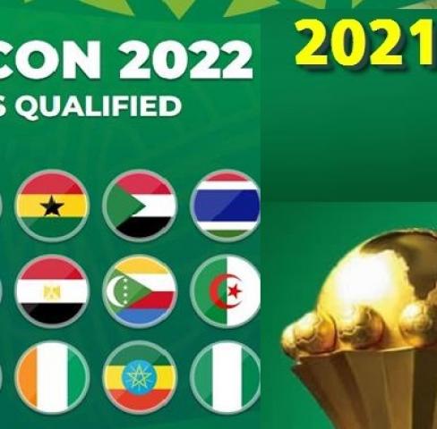 كأس أمم أفريقيا 2021